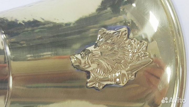 Валторна латунь с кожаной отделкой (рог витой) (F