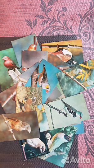 Открытки СССР 