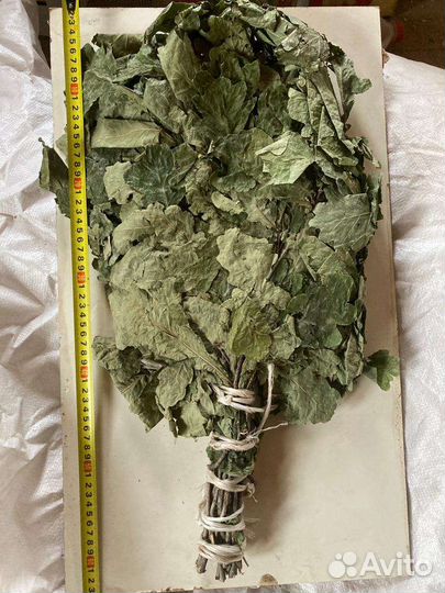 Дубовые веники для бани