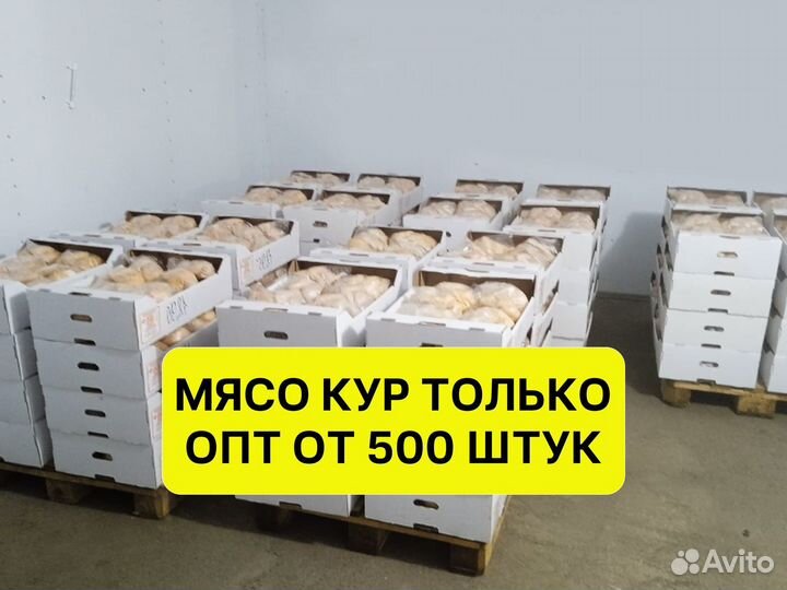 Мясо кур оптом