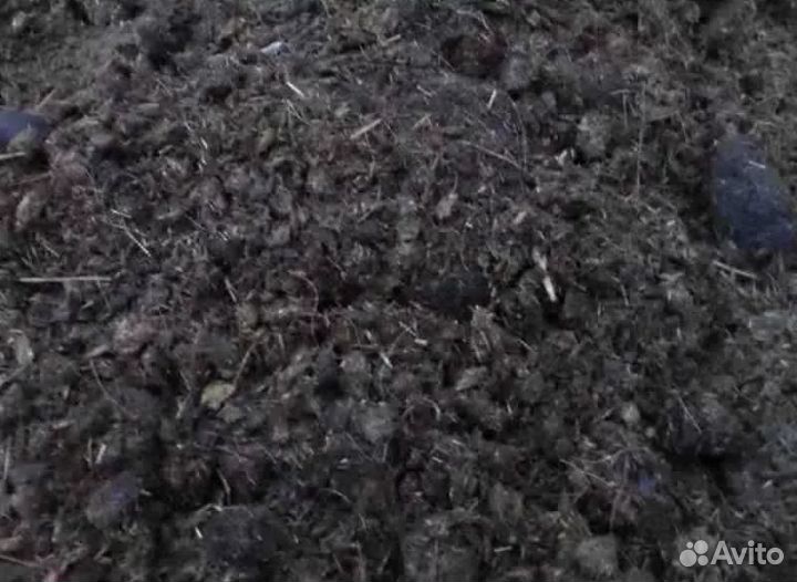 Перегной с Ипподрома