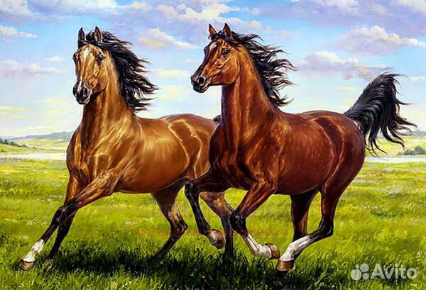 Картина по номерам 40x50 Довольная пробежка