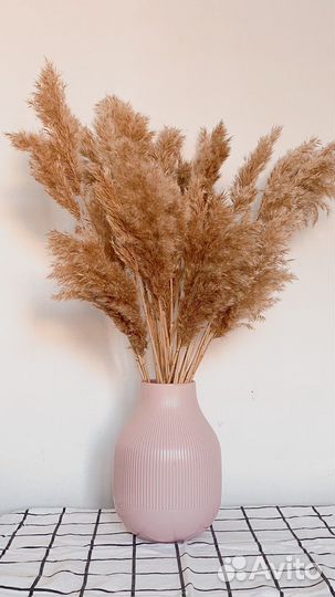 Сухоцвет для декора интерьера