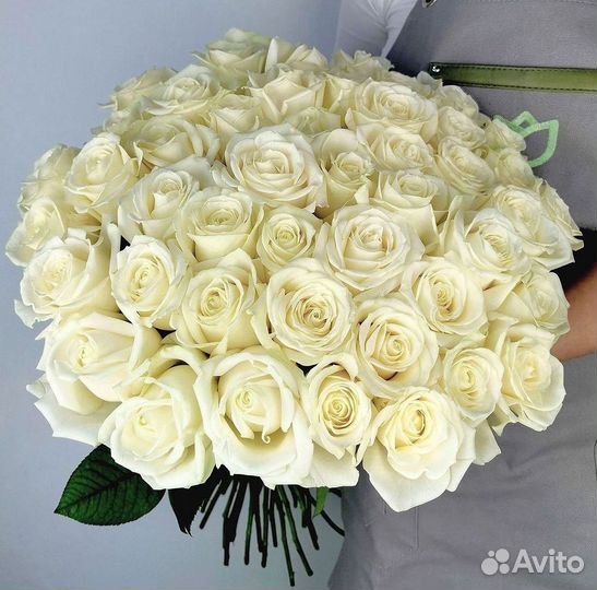 Высокие розы Гигантские розы 110