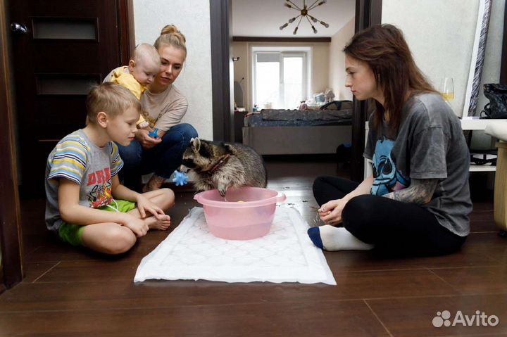 Енотик на праздник