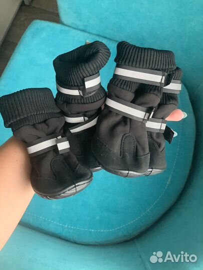 Ботинки для собак, размер M