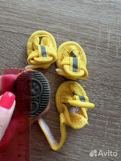 Обувь для собак