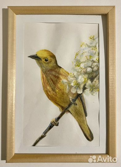 Акварельный рисунок «Весенняя птица»