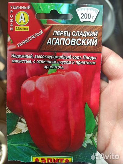 Рассада перца сладкого