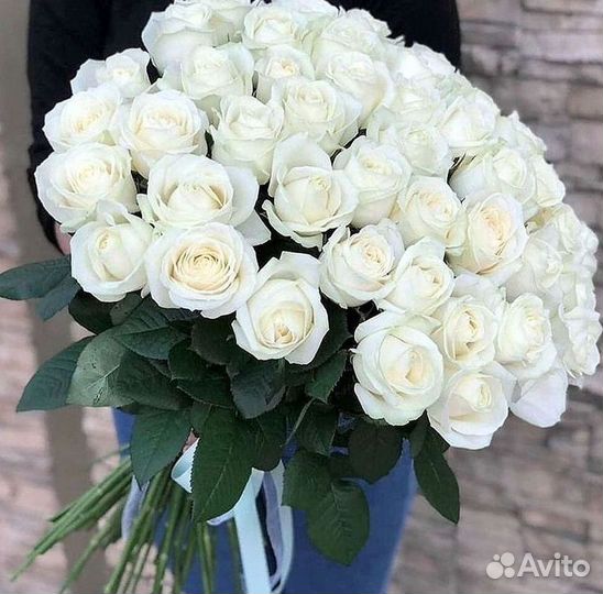 Высокие розы Гигантские розы Доставка цветов