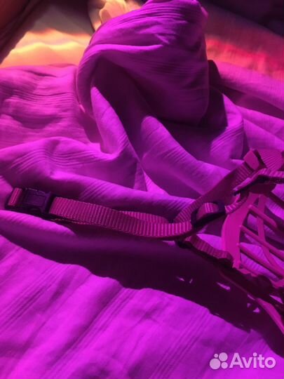 Намордник для собак