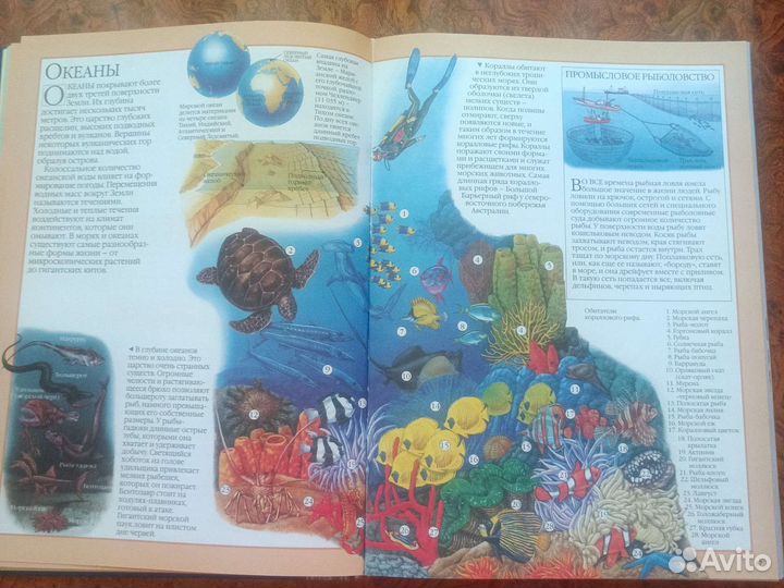 Золотая книга знаний