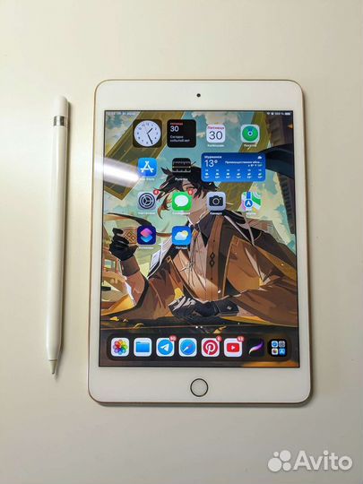 iPad mini 5 + apple pencil