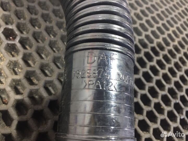 Шланг компрессора Daf XF105