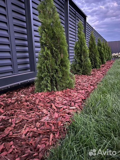 Мульча Кора лиственницы Вермикулит