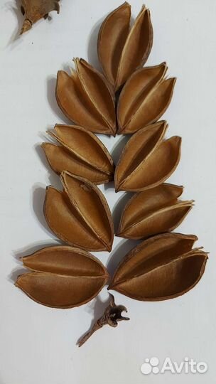 Материал для экокомпозиций