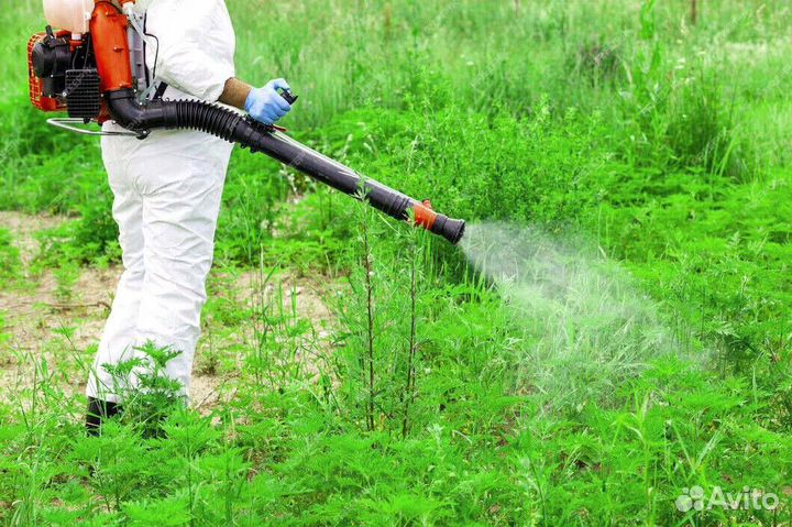 Выплаты 19 тысяч/месяц. Ищу инвeстора