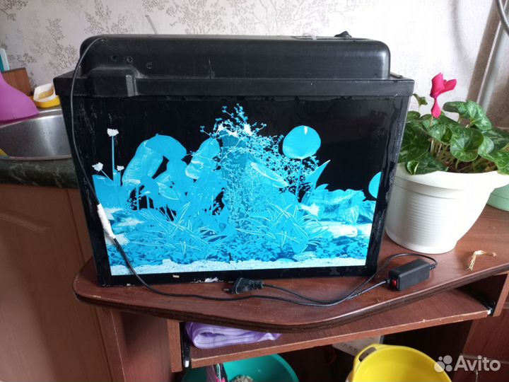 Аквариум