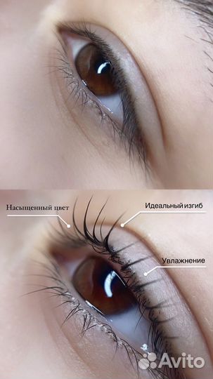 Ламинирование ресниц, брови