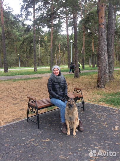 Выгул собак