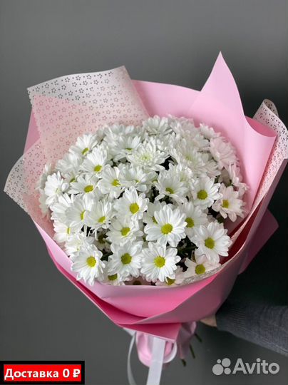 Купить хризантемы оптом