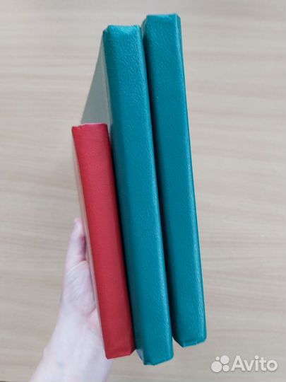 Фотоальбом Выпуск 1988, 1989, Ленинград