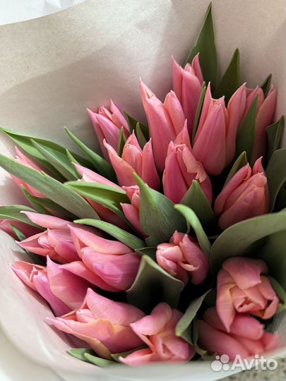 Тюльпаны к 8 марта розница