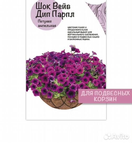 Петуния ампельная