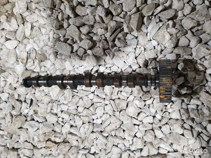 Распредвал 1,6 Киа Спектра Kia Spectra