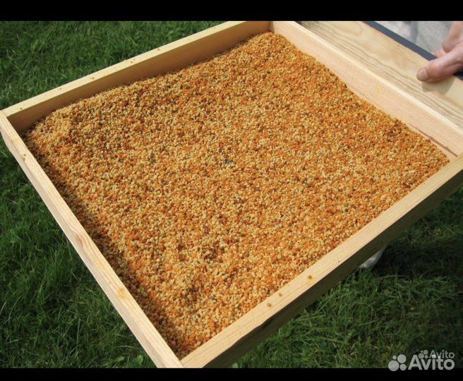 Пыльца пчелиная