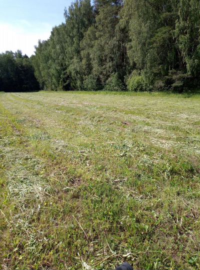 Участок 36,6 сот. (ИЖС)