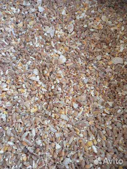 Зерновой комплекс для кур вкусняшка