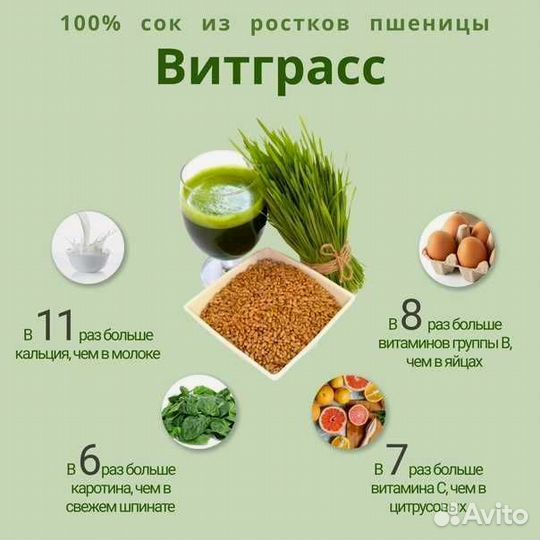 Витграсс. Сок из ростков пшеницы