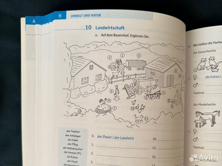 Упражнения по немецкому hueber grosses übungsbuch