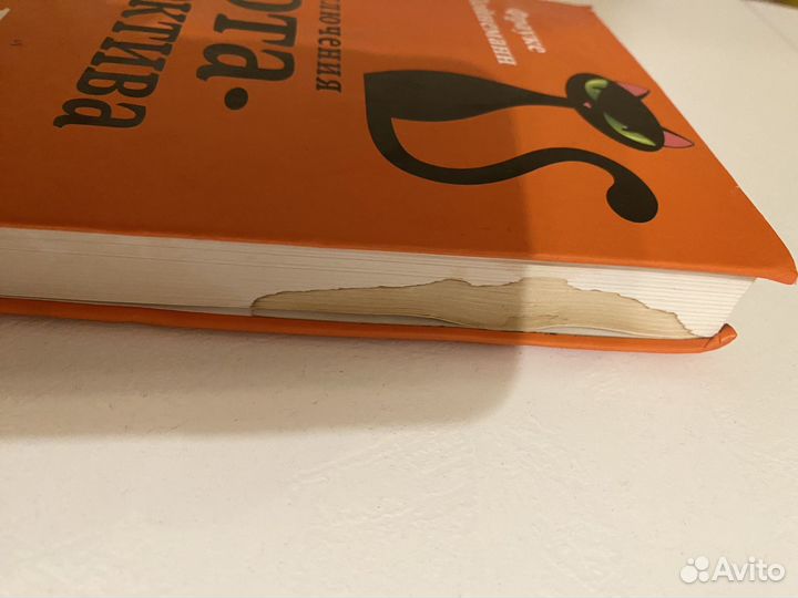 Книга Дело о невидимке Фрауке Шойнеманн