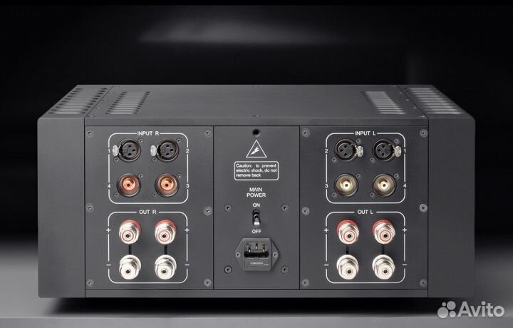 Begemot Limited - усилитель Александра Трусова