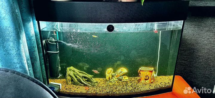 Аквариум