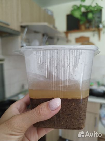 Закваска для кваса
