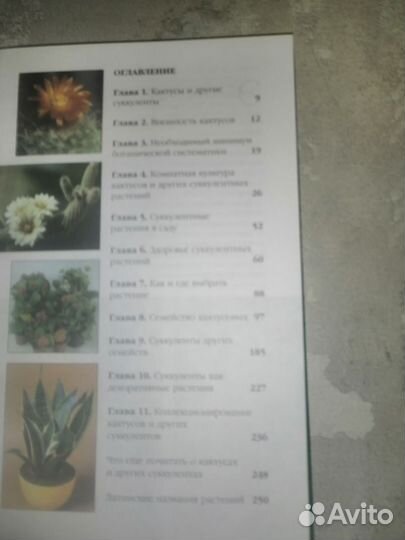 Книги о кактусах