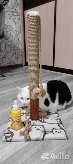 Когтеточка для кошек бу