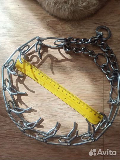 Строгий ошейник