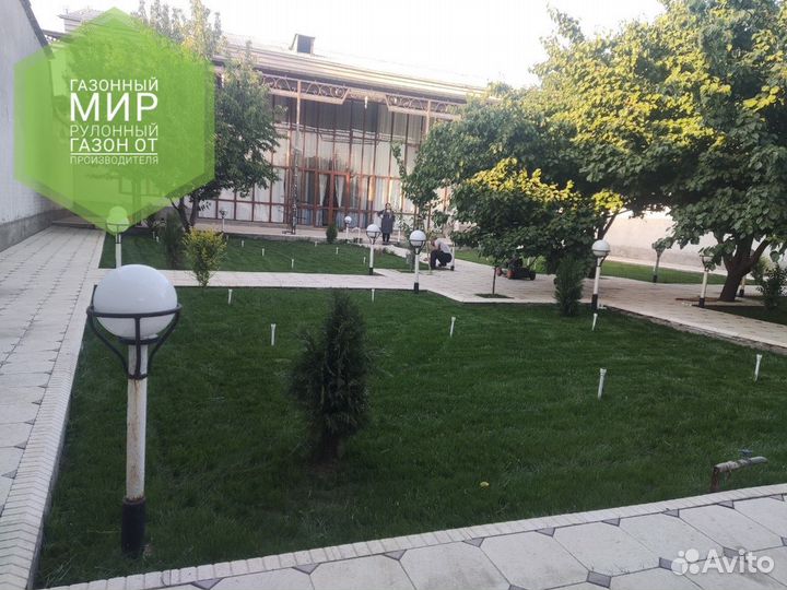 Рулонный газон