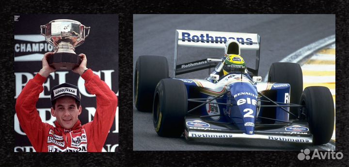 Ayrton Senna автограф и фото на металле