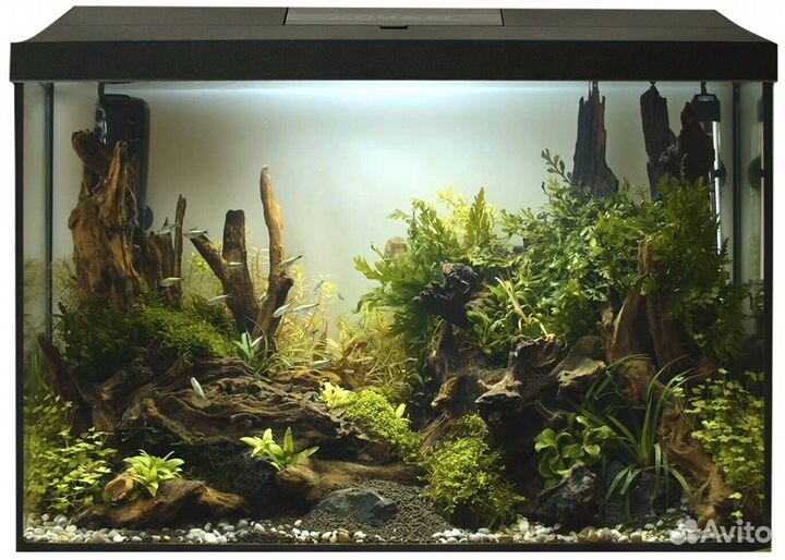 Aquael Аквариум leddy SET 40 черный (35 л)