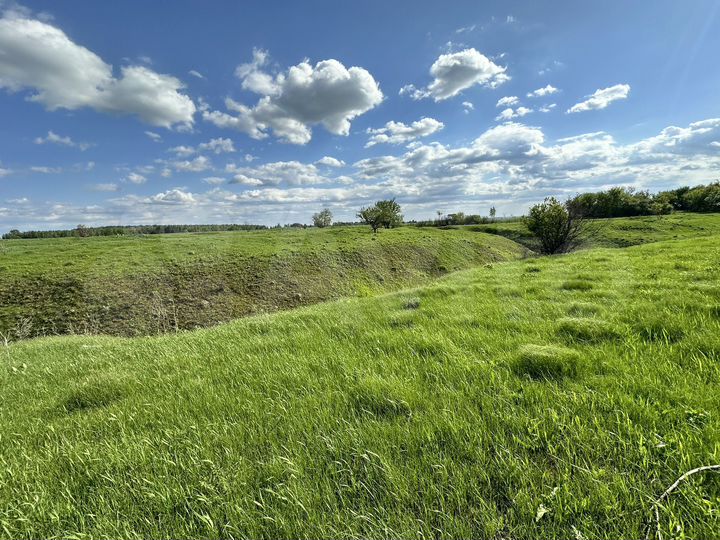 Участок 10 сот. (ИЖС)