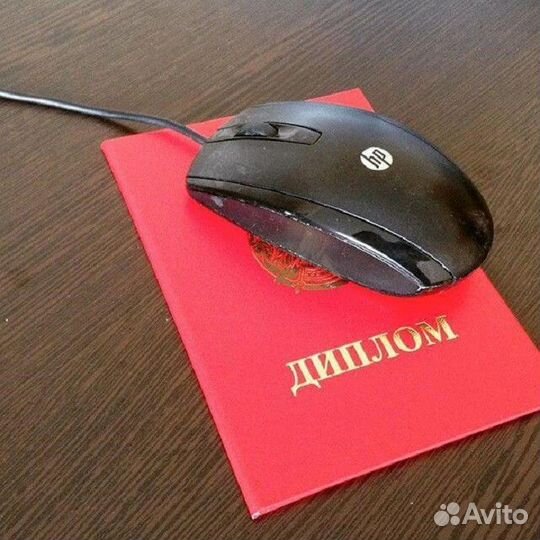 Подготовка на диплом аттестат образование онлайн