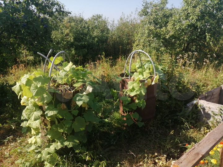 Участок 24 сот. (ИЖС)