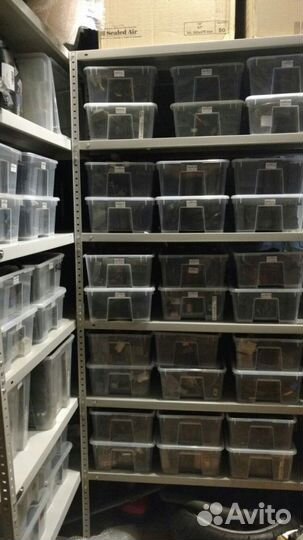 Suzuki srad 96-99 коммутатор