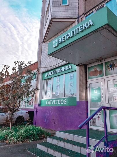 Ветеринарный врач, врач ориит