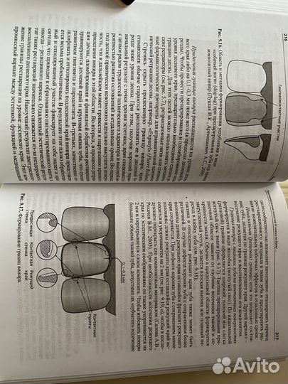 Терапевтическая стоматология Николаев Цепов